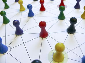 九游官网pc-中国篮球教练员专业能力提升路径，篮球教练员的专业技能包括哪些方面